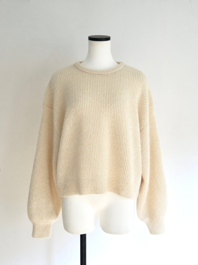 glitter crew neck knit