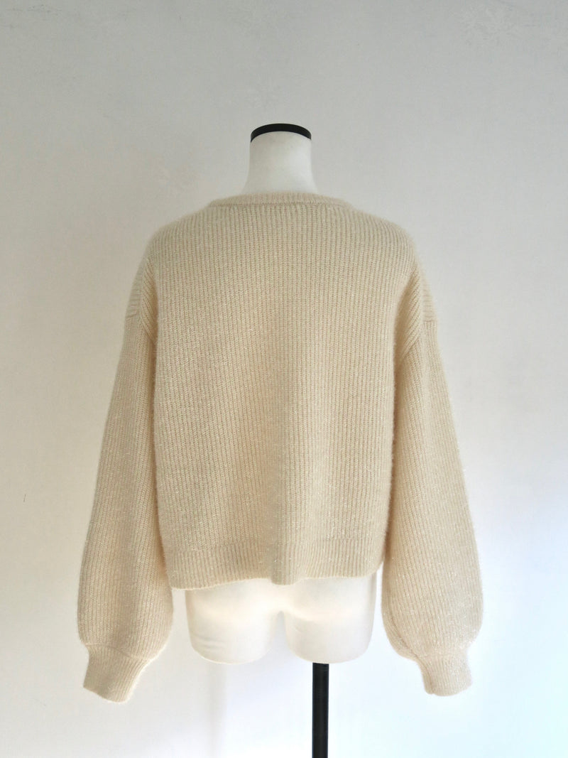 glitter crew neck knit